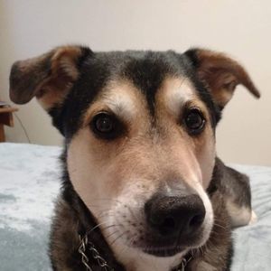 Meet your Posher, Mitch